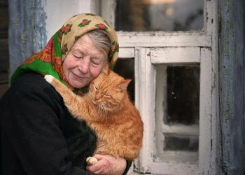 Як бабуся орків здала