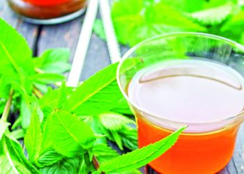 М’ятний сироп на зиму