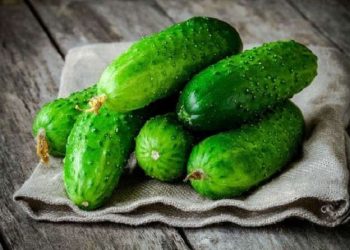 Ікра з перезрілих огірків