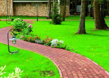 Як викласти доріжки в саду тротуарною плиткою: корисні поради