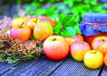 Густий томатний соус з яблуками