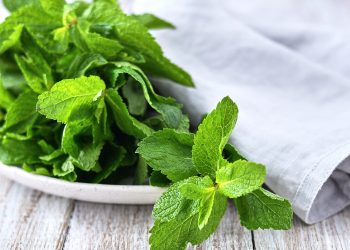 М’ята допоможе при стенокардії