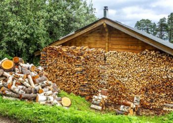 Як вибрати дрова на зиму