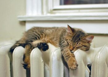 Як зберегти тепло в квартирі та не витрачати надлишкову електричну енергію на опалення