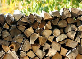 Від сьогодні у прифронтових областях розпочнеться видача безоплатної паливної деревини