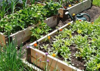 Щоб отримати гарний урожай овочів, закладіть теплу грядку