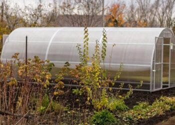 Осінні роботи в теплиці