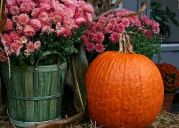 Листопад на городі, в саду та квітнику