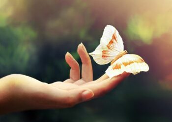 Як повернути довіру до світу?