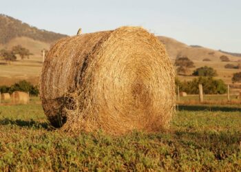 Солома — цінне добриво