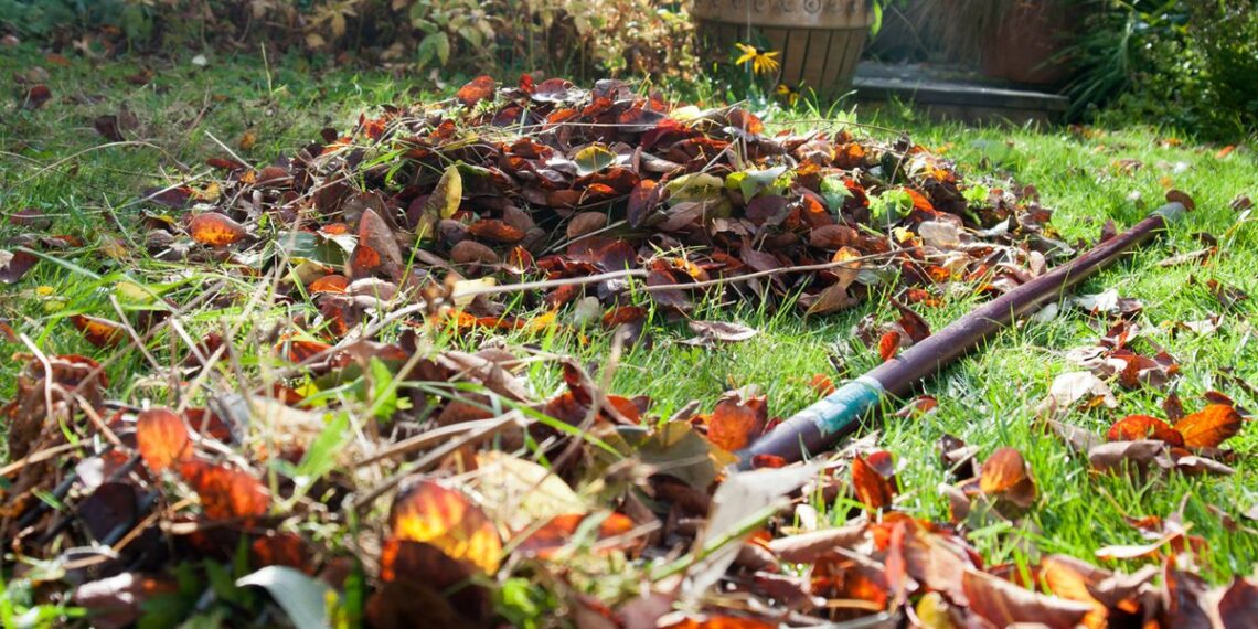 Листяний компост поліпшить грунт