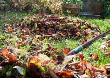 Листяний компост поліпшить грунт