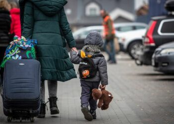 Перевірки проживання ВПО відновлять