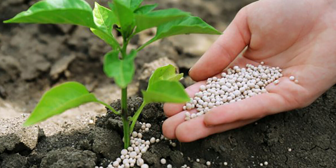 Які добрива потрібніші?