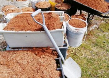 Тирсу та хвою компостують