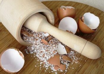 Яєчна шкаралупа підвищить родючість грунту