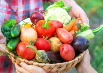 Насіння майбутнього врожаю