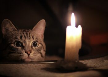 Як наша психіка реагує на тривалу відсутність світла