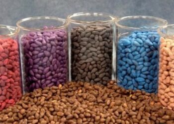 Плазмове, інкрустоване чи прецизійне? Яке насіння вибрати