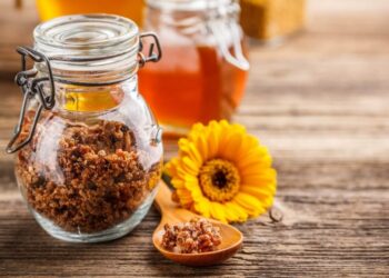 Прополіс — натуральний антибіотик