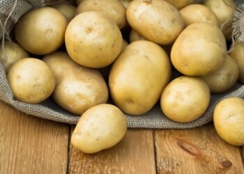 Картопляний відвар — чудове підживлення для квітів