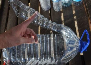 Парничок для розсади з пластикової пляшки