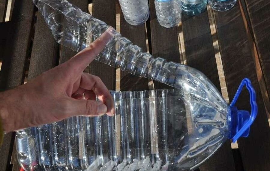 Парничок для розсади з пластикової пляшки