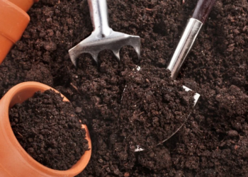 Готуємо ґрунт для розсади