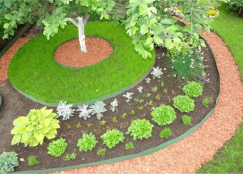 Чим закрити пристовбурні кола