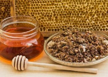 Що лікує прополіс?