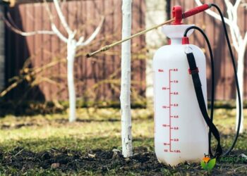 Весняна обробка саду: якими препаратами і коли починати обробляти