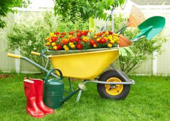 Квітень на городі, в саду та квітнику