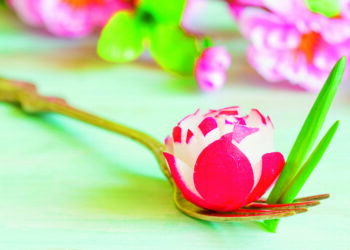 Весняна свіжість: салати з редисом