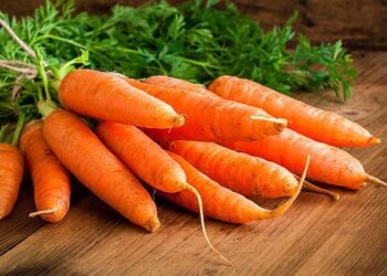 Насіння моркви зійде швидше