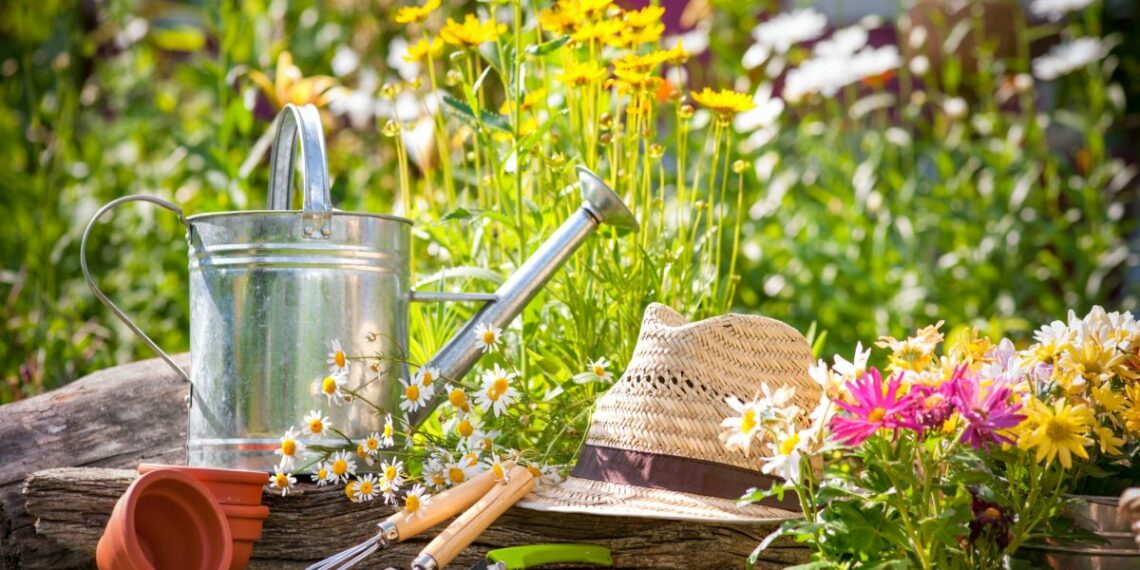 Захищаємо плодові дерева та кущі правильно