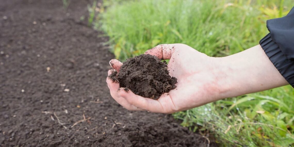 Живе добриво власноруч