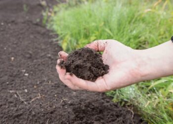 Живе добриво власноруч