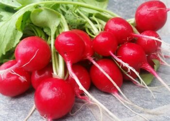4 причини, чому редиска йде в стрілки