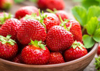 Як врятувати полуницю від сірої гнилі