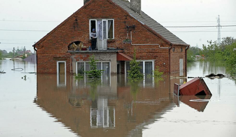 Будинок після підтоплення: що робити