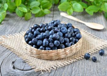 Чорниця у народній медицині: корисні властивості ягід