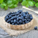 Чорниця у народній медицині: корисні властивості ягід