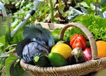 Липень на городі, в саду та квітнику