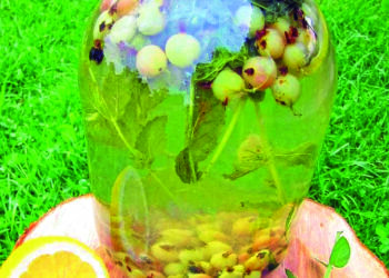 Компот “Мохіто”