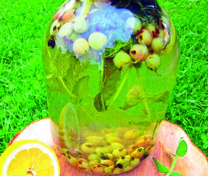 Компот “Мохіто”