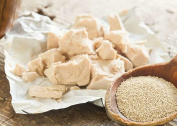 5 рецептів дріжджових підживлень для городини, садовини та квітів