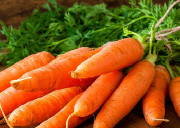 Мою моркву рукою не обхопити!