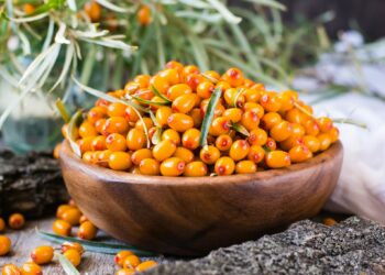 Листя обліпихи у народній медицині