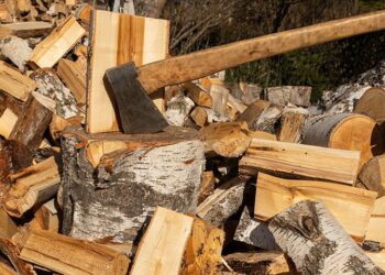 Дрова за пільгою