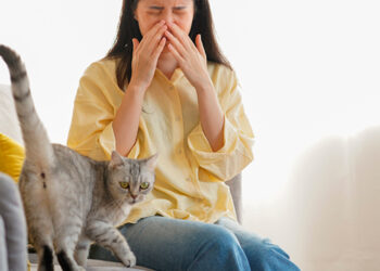 Як боротися з алергією на кішок